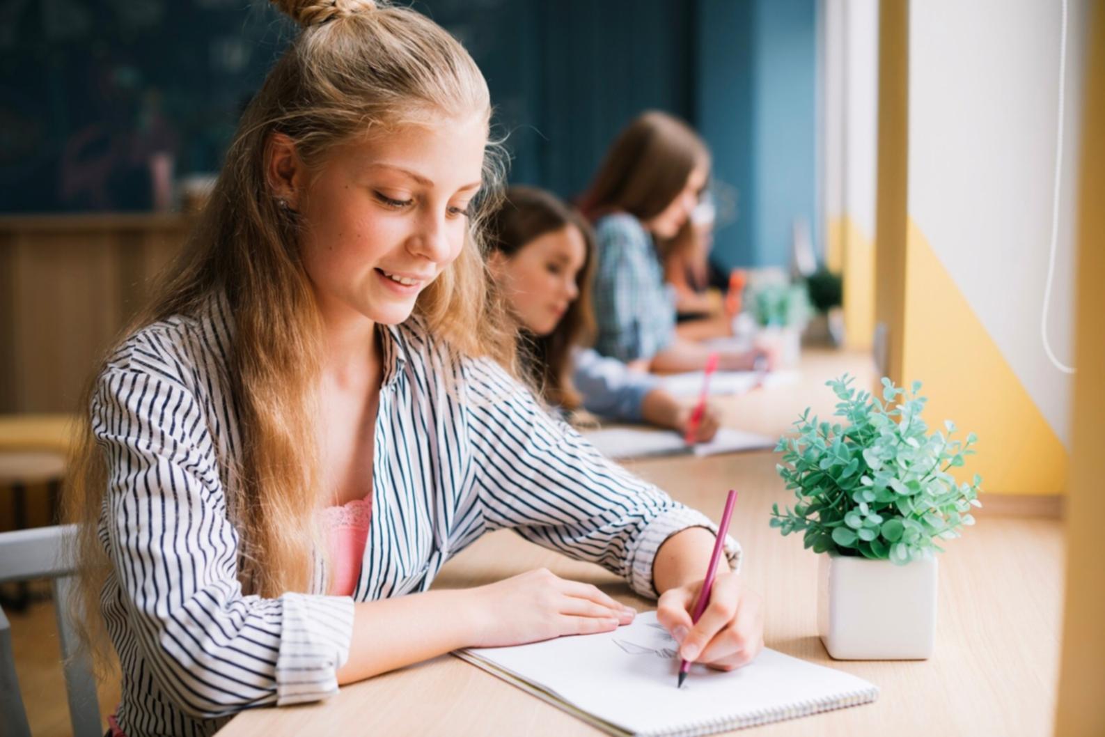 Graphiques et analyses des dépenses mensuelles